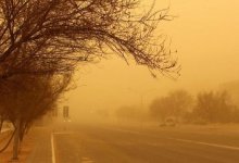 Женщине потребовалась помощь психолога из-за пыльной бури в Мангистау