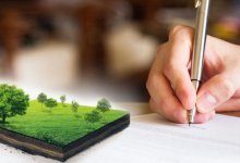 Земельные участки для строительства домов незаконно предоставляла СПК в Туркестанской области