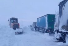 Водители 15 фур почти сутки стоят в снежном заносе на трассе в ЗКО