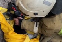 Кота и его хозяина спасли павлодарские пожарные