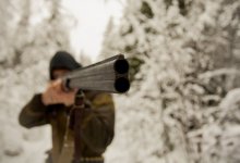 Неизвестные напали на егеря в Туркестанской области