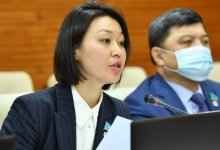 Экс-мажилисмен стала вице-министром экологии