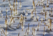 Почти по всему Казахстану 18 марта ожидаются осадки