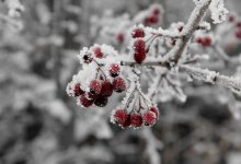 Морозная погода без осадков ожидает казахстанцев в выходные