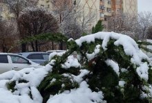 Весна к нам пришла! На юге Казахстана выпал снег