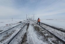 Грузовой поезд раздавил табун лошадей близ Нур-Султана