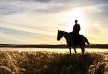 Мужчина зарезал товарища и 10 дней скрывался в степи Алматинской области