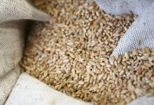 На рынке пшеницы создается искусственный ажиотаж – Минсельхоз