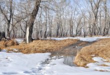 В Казахстане 21 марта ожидаются осадки и усиление ветра