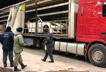 Контрабандный ввоз автомобилей пресекли сотрудники КНБ Казахстана