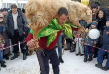 Житель ВКО 40 раз за минуту поднял 60-килограммового барана