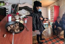 В Павлодарской области наказана многодетная мать