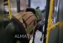 Мужчину, перевозившего лошадь в автобусе в Алматы, оштрафовали