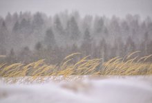 Землетрясение произошло в 112 километрах от Алматы