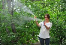 Аким ЗКО: Почти 300 миллионов на борьбу против комаров, а результат – ноль