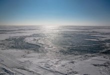 Активисты вновь заговорили о загрязнении Балхаша