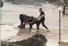 Девочка чуть не утонула в арыке в Актобе, ее спасли прохожие