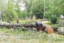 В райцентре ВКО забросили сквер, где срубили почти 300 деревьев