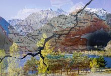 Как разделят Алматинскую область, рассказал Бозумбаев