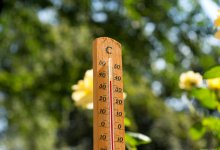 Потепление до +28 градусов обещают синоптики в ближайшие дни