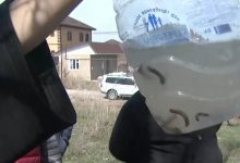 В Алматинской области люди вынуждены пить воду с червями