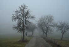 Штормовое предупреждение объявлено в девяти областях Казахстана