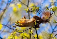 Синоптики рассказали, какая погода ждет казахстанцев 6 апреля