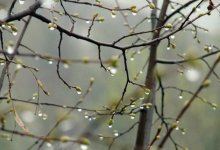 Синоптики рассказали, какая погода ждет казахстанцев 8 апреля