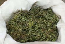 Житель Шу хранил дома два мешка наркотиков