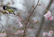 Какой будет погода 9 апреля в Казахстане