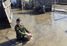Домашних животных выносят на руках из воды спасатели в селе Речное ВКО