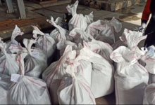 Более 11 тонн наркотиков сожгли полицейские в Павлодаре