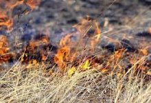 Без электричества остались жители Петропавловска из-за горящей травы