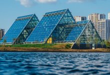 Мертвую рыбу в столичном Ботаническом саду объяснили в акимате