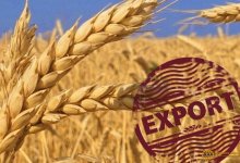 Ограничения на экспорт пшеницы и муки введут в Казахстане