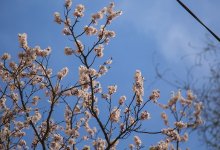 Жару до 26 градусов прогнозируют в Казахстане в ближайшие дни