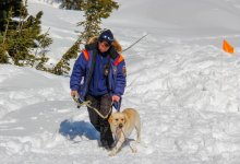 Лавина сошла в горах Алматы. Спасатели ищут двоих человек