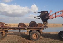 Трупы лошадей и коров обнаружили в реке на западе Казахстана