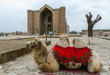 Подъем по-туркестански: на чем зарабатывает регион