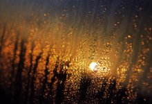 Дожди, грозы, ветер: какая погода ждет казахстанцев в выходные?