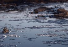 Тело девушки, пропавшей осенью в Семее, нашли в реке