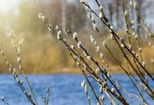 Синоптики рассказали, какая погода ждет казахстанцев 17 апреля