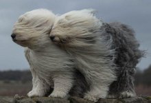 В шести областях объявили штормовое предупреждение синоптики