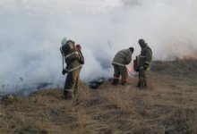 Десятки пожарных тушат траву возле столицы