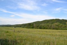 Без преступлений и разводов: в селе Туркестанской области пять лет не продают алкоголь