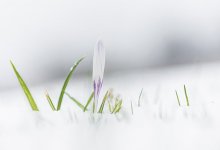 Прогноз погоды на 20 апреля представил Казгидромет