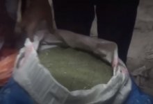 161 кг марихуаны изъяли у жителя Шу