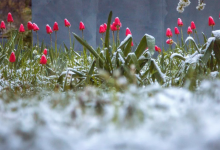 До 10 градусов мороза обещают синоптики в выходные
