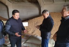 Мажилисмены: в законе все есть, но акиматы не работают по снижению дефицита пастбищ