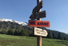 На Кок-Жайляу спасли алматинца